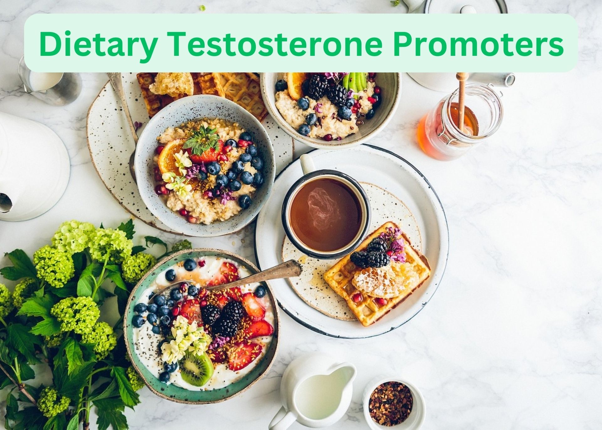 Dietary Testosterone Promoters