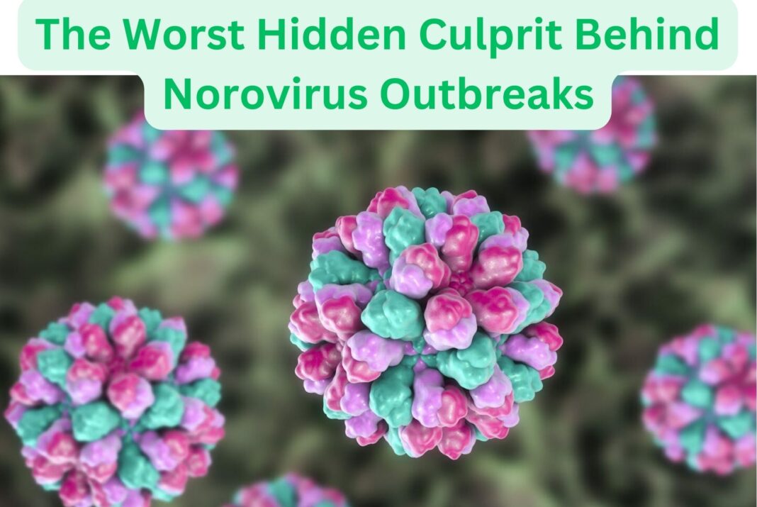 The Worst Hidden Culprit Behind Norovirus Outbreaks