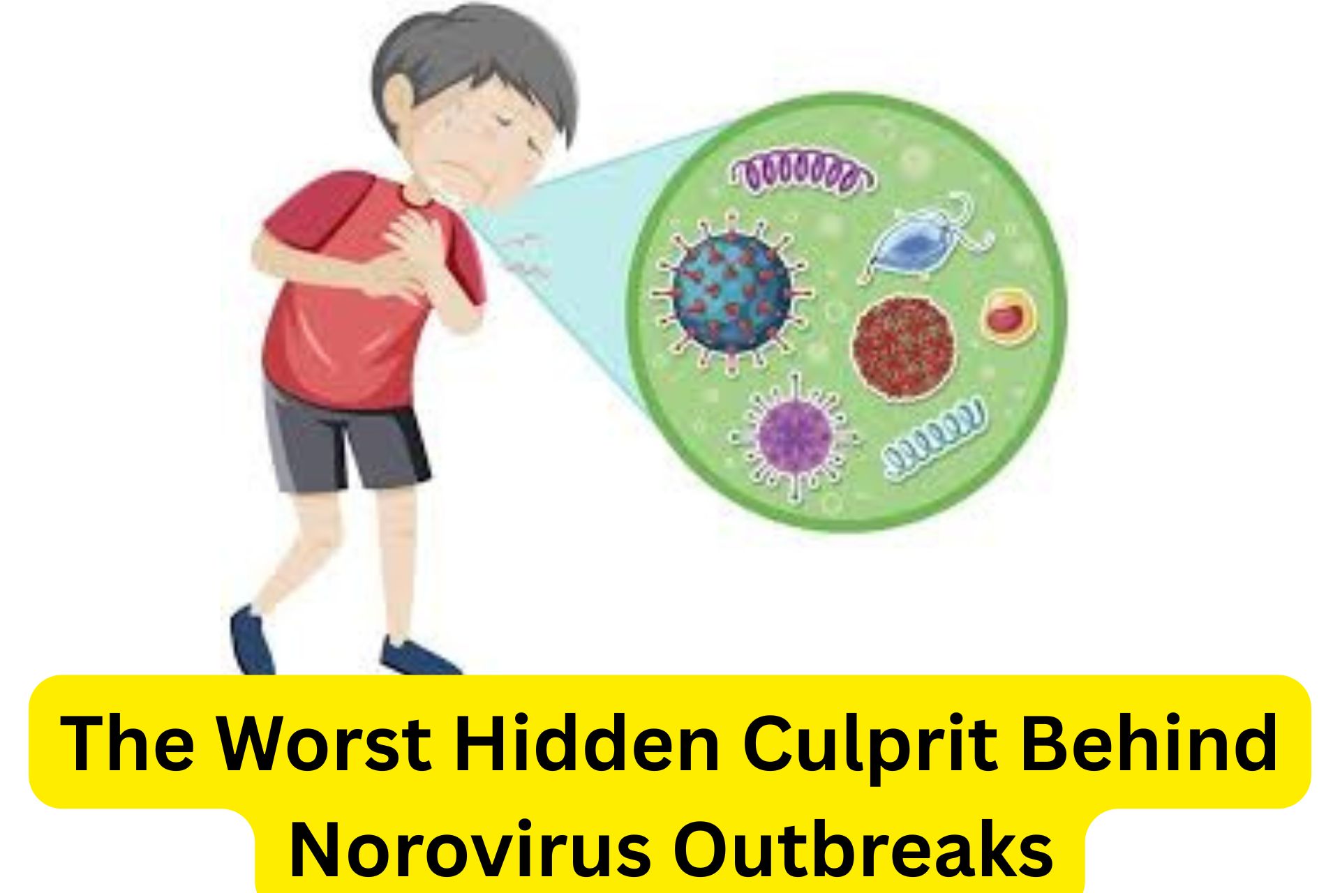 The Worst Hidden Culprit Behind Norovirus Outbreaks