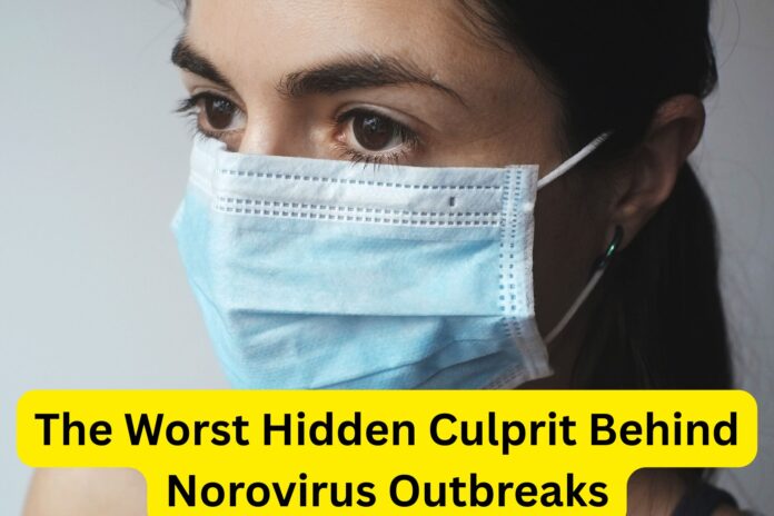 The Worst Hidden Culprit Behind Norovirus Outbreaks